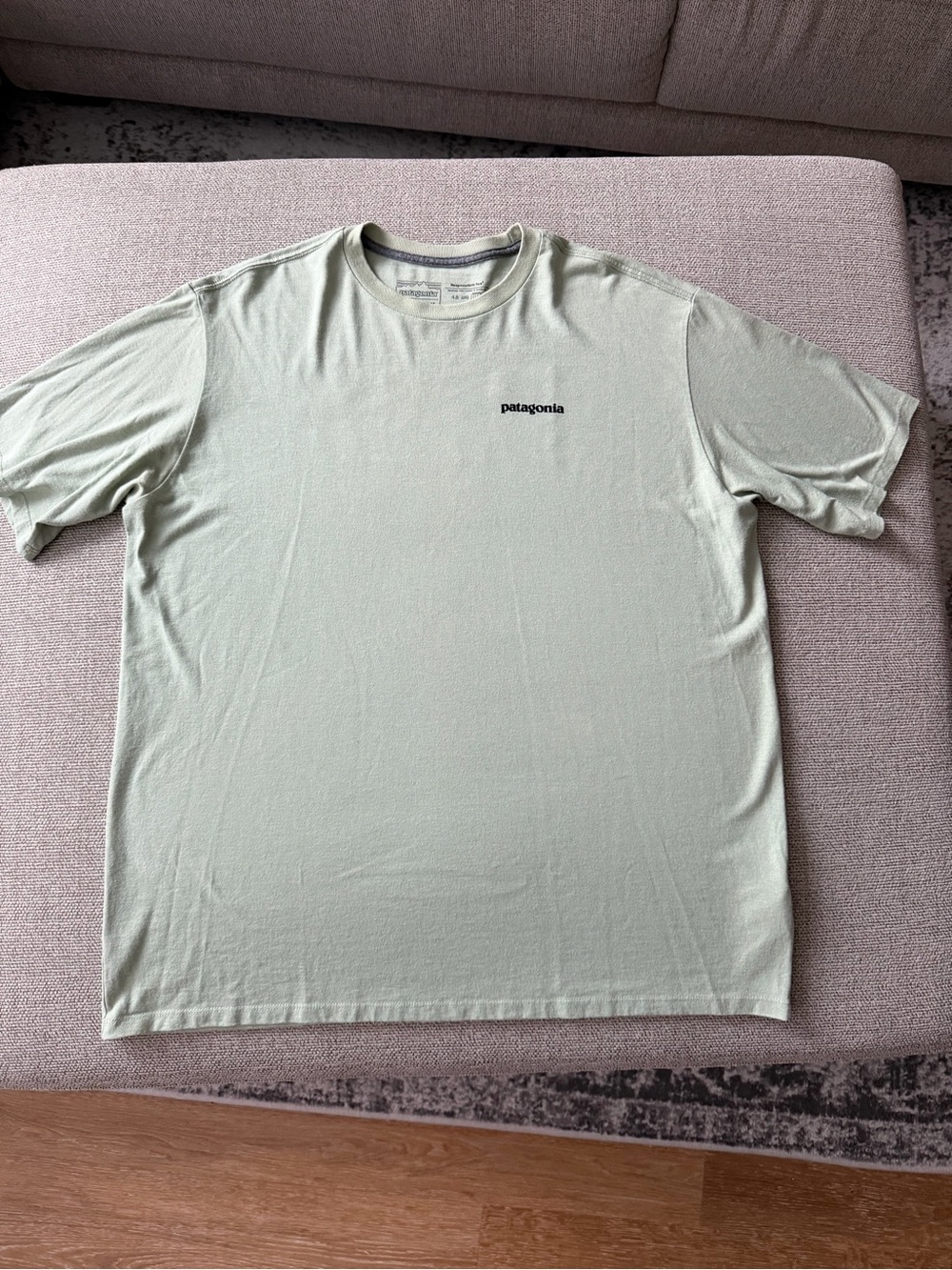 Patagonia Short-Sleeve Tee in Sage Green